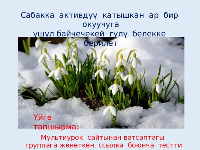 Сабакка активдүү катышкан ар бир окуучуга ушул байчечекей гүлү белекке берилет Үйгө тапшырма: Мультиурок сайтынан ватсаптагы группага жөнөткөн ссылка боюнча тестти аткарып келесиңер 