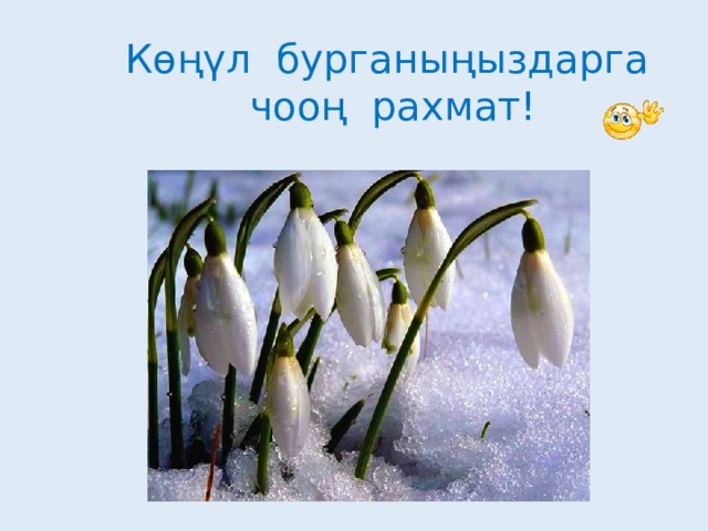 Көңүл бурганыңыздарга чооң рахмат! 