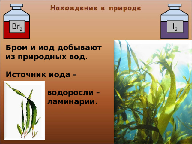 Br 2 I 2 Бром и иод добывают из природных вод.  Источник иода – морские  водоросли –  ламинарии. 16 