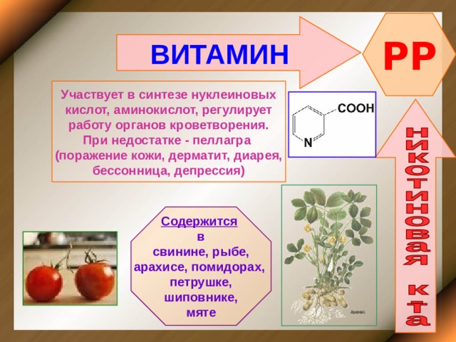 PP ВИТАМИН    Участвует в синтезе нуклеиновых кислот, аминокислот, регулирует работу органов кроветворения. При недостатке - пеллагра (поражение кожи, дерматит, диарея, бессонница, депрессия)    Содержится  в свинине, рыбе, арахисе, помидорах, петрушке, шиповнике, мяте  