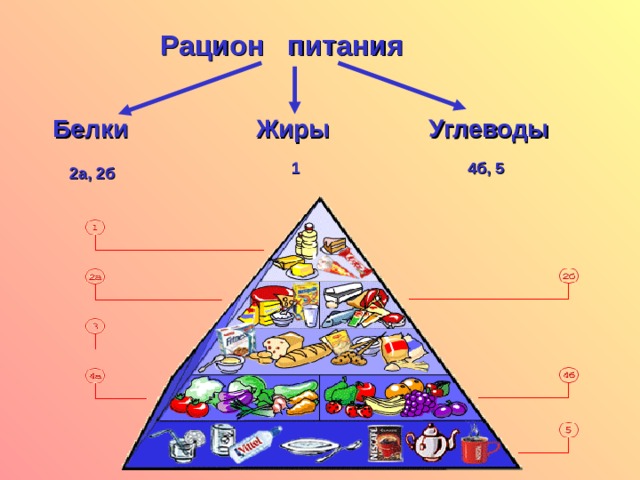 Рацион питания Белки Жиры Углеводы 1 4б, 5 2а, 2б 