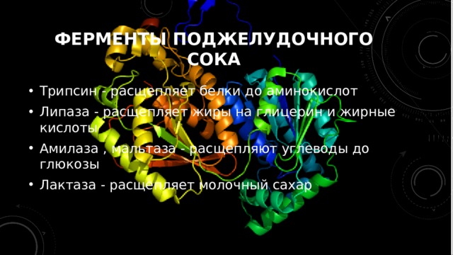 ФЕРМЕНТЫ ПОДЖЕЛУДОЧНОГО СОКА Трипсин - расщепляет белки до аминокислот  Липаза - расщепляет жиры на глицерин и жирные кислоты Амилаза , мальтаза - расщепляют углеводы до глюкозы  Лактаза - расщепляет молочный сахар  