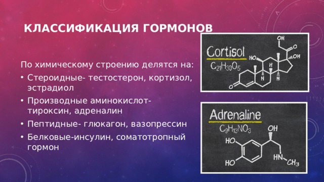 Классификация гормонов  По химическому строению делятся на: Стероидные- тестостерон, кортизол, эстрадиол Производные аминокислот- тироксин, адреналин  Пептидные- глюкагон, вазопрессин Белковые-инсулин, соматотропный гормон   