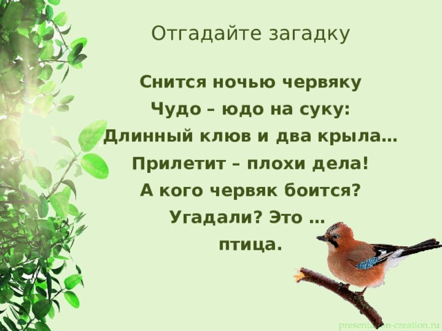 Отгадайте загадку Снится ночью червяку Чудо – юдо на суку: Длинный клюв и два крыла… Прилетит – плохи дела! А кого червяк боится? Угадали? Это … птица. 