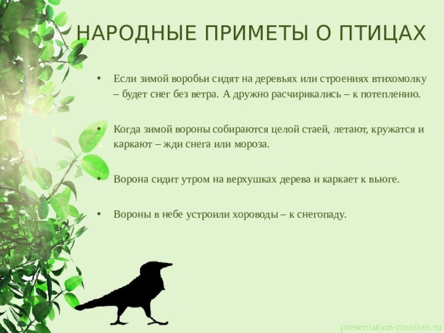 НАРОДНЫЕ ПРИМЕТЫ О ПТИЦАХ Если зимой воробьи сидят на деревьях или строениях втихомолку – будет снег без ветра. А дружно расчирикались – к потеплению. Когда зимой вороны собираются целой стаей, летают, кружатся и каркают – жди снега или мороза. Ворона сидит утром на верхушках дерева и каркает к вьюге. Вороны в небе устроили хороводы – к снегопаду. 