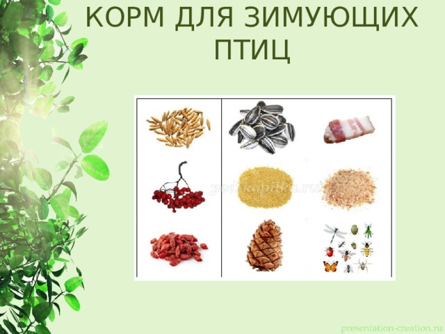 КОРМ ДЛЯ ЗИМУЮЩИХ ПТИЦ 