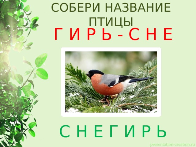 СОБЕРИ НАЗВАНИЕ ПТИЦЫ Г И Р Ь - С Н Е С Н Е Г И Р Ь 