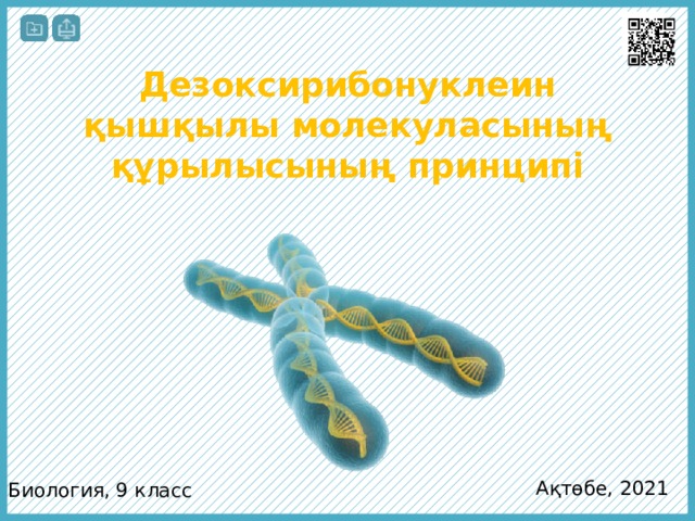 Дезоксирибонуклеин қышқылы молекуласының құрылысының принципі Ақтөбе, 2021 Биология, 9 класс  