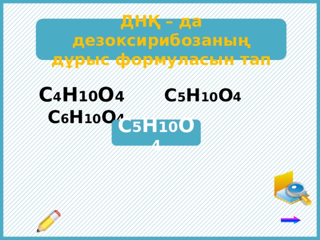 ДНҚ – да дезоксирибозаның дұрыс формуласын тап С 4 Н 10 О 4 С 5 Н 10 О 4 С 6 Н 10 О 4  С 5 Н 10 О 4 Нуклеотид құрамбөліктеріне: азотты негіздер, фосфор қышқылы және бес көміртекті қант жатады. 3 