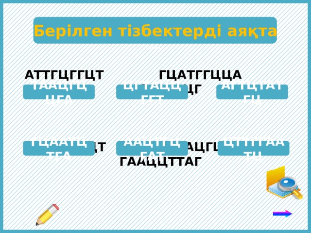  ТТт Берілген тізбектерді аяқта АТТГЦГГЦТ ГЦАТГГЦЦА ТЦАГАТАЦГ    ЦГТТАГАЦТ ТТГАЦГЦТА ГААЦЦТТАГ ТААЦГЦЦГА ЦГТАЦЦГГТ АГТЦТАТГЦ ГЦААТЦТГА ААЦТГЦГАТ ЦТТГГААТЦ Тізбекті аяқтау үшін комплементарлық ережені пайдалан: аденинге тимин, гуанинге цитозин комплементарлы. 4 