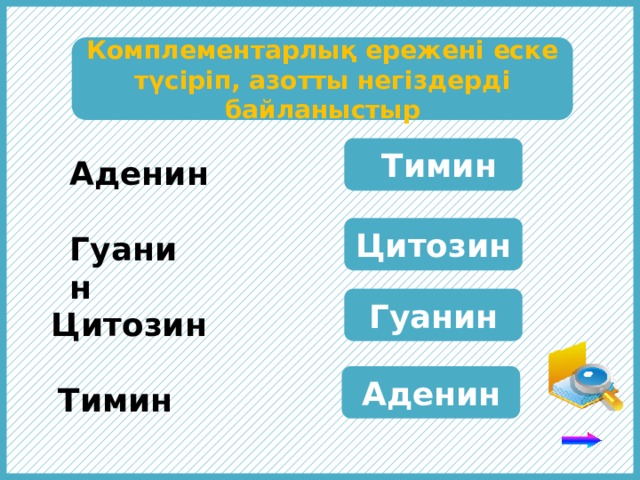 Комплементарлық ережені еске түсіріп, азотты негіздерді байланыстыр  Тимин Аденин Цитозин Гуанин Гуанин Цитозин Аденин Тимин 7 