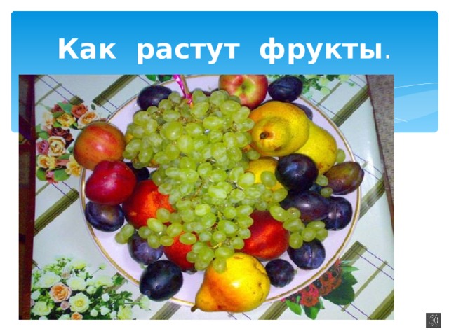 Как растут фрукты . 