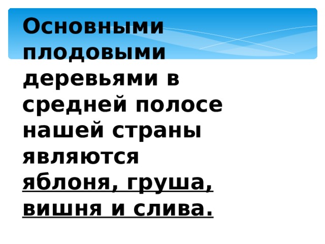 Основными плодовыми деревьями в средней полосе нашей страны являются яблоня, груша, вишня и слива. 