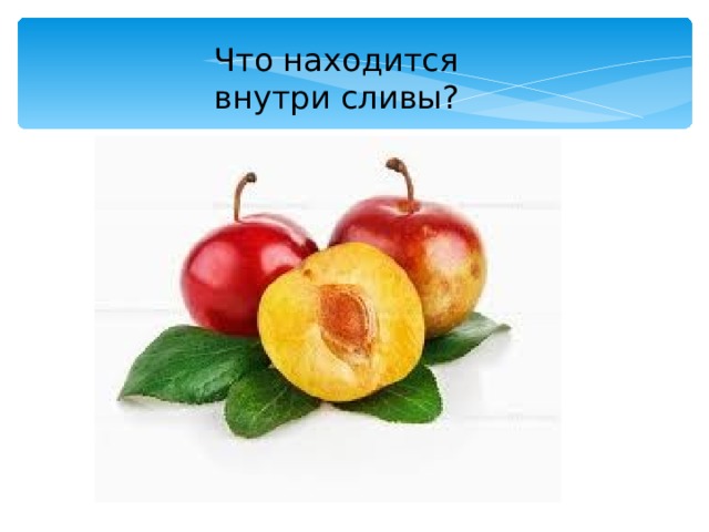 Что находится внутри сливы? 