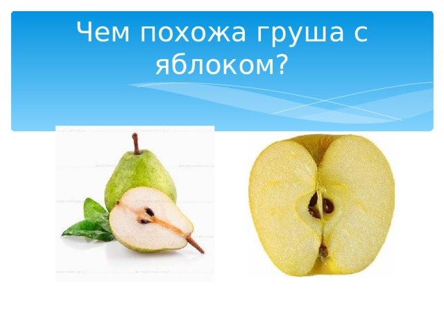 Чем похожа груша с яблоком? 