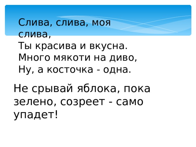 Слива, слива, моя слива, Ты красива и вкусна. Много мякоти на диво, Ну, а косточка - одна. Не срывай яблока, пока зелено, созреет - само упадет! 