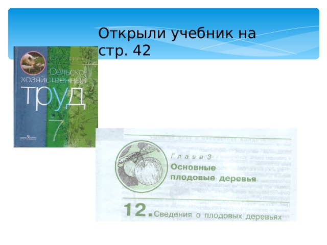 Открыли учебник на стр. 42 