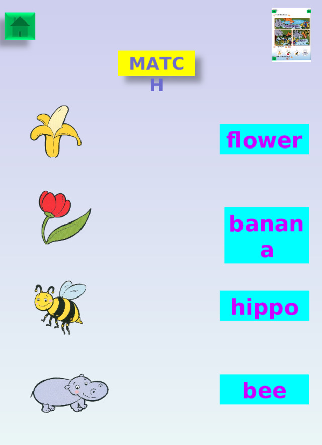 MATCH flower banana hippo bee 