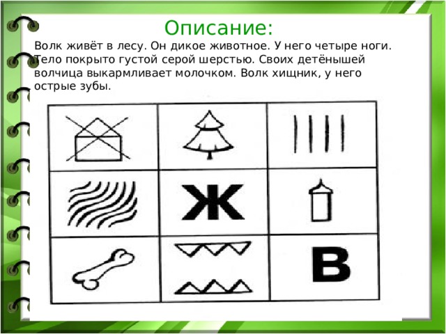  Описание: Волк живёт в лесу. Он дикое животное. У него четыре ноги. Тело покрыто густой серой шерстью. Своих детёнышей волчица выкармливает молочком. Волк хищник, у него острые зубы. 