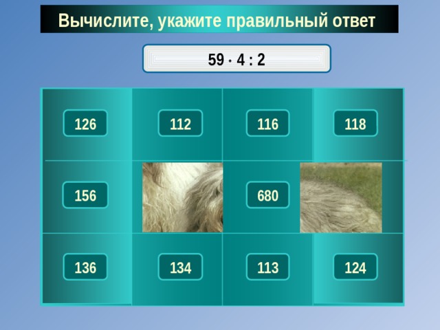 Вычислите, укажите правильный ответ  59  4 : 2 118 126 116 112 153 132 680 156 134 136 113 124 