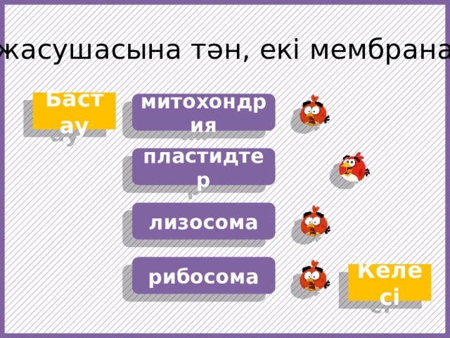 Тек өсімдіктер жасушасына тән, екі мембраналы органоид … Бастау митохондрия пластидтер лизосома https://f1.pngfuel.com/png/607/434/568/fruit-angry-birds-cartoon-red-video-game-software-png-clip-art.png https://w7.pngwing.com/pngs/437/239/png-transparent-angry-birds-epic-angry-birds-go-angry-birds-space-angry-birds-action-angry-birds-orange-chicken-galliformes.png рибосома Келесі  