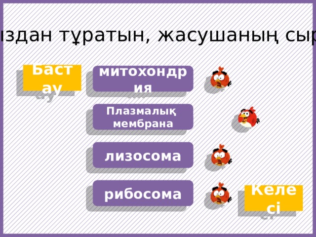Май мен нәруыздан тұратын, жасушаның сыртқы қабаты … Бастау митохондрия Плазмалық мембрана лизосома https://f1.pngfuel.com/png/607/434/568/fruit-angry-birds-cartoon-red-video-game-software-png-clip-art.png https://w7.pngwing.com/pngs/437/239/png-transparent-angry-birds-epic-angry-birds-go-angry-birds-space-angry-birds-action-angry-birds-orange-chicken-galliformes.png рибосома Келесі  