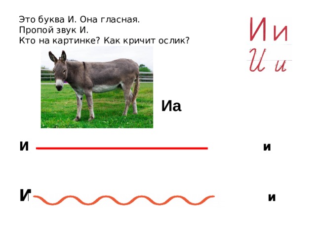 Это буква И. Она гласная.  Пропой звук И.  Кто на картинке? Как кричит ослик?            И  и   И  и Иа 