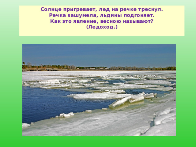 Солнце пригревает, лед на речке треснул.  Речка зашумела, льдины подгоняет.  Как это явление, весною называют?  (Ледоход.)   