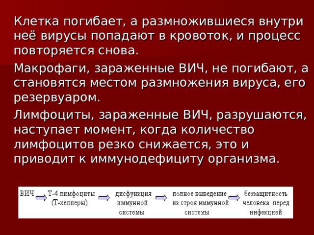 Клетка погибает, а размножившиеся внутри неё вирусы попадают в кровоток, и процесс повторяется снова. Макрофаги, зараженные ВИЧ, не погибают, а становятся местом размножения вируса, его резервуаром. Лимфоциты, зараженные ВИЧ, разрушаются, наступает момент, когда количество лимфоцитов резко снижается, это и приводит к иммунодефициту организма. 