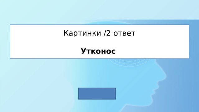 Картинки /2 ответ   Утконос 