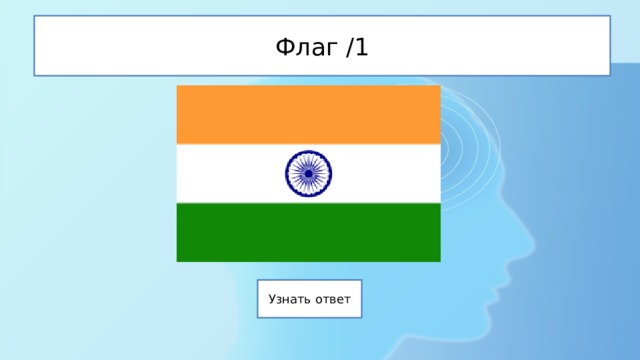 Флаг /1 