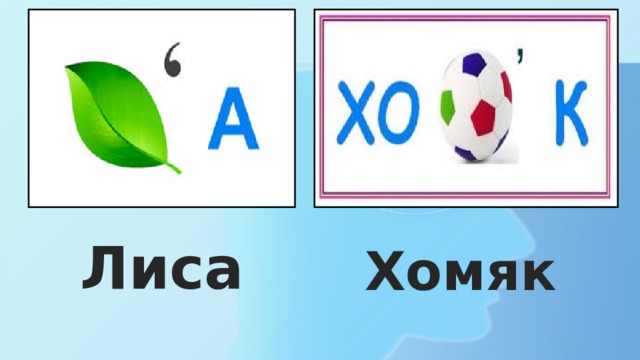 Лиса Хомяк 