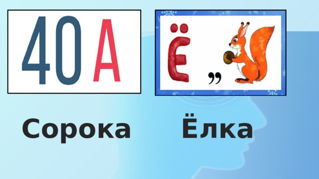 Сорока Ёлка 