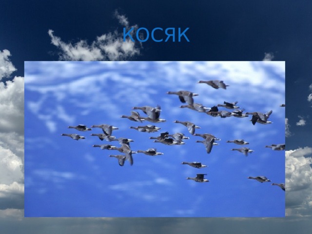 КОСЯК 