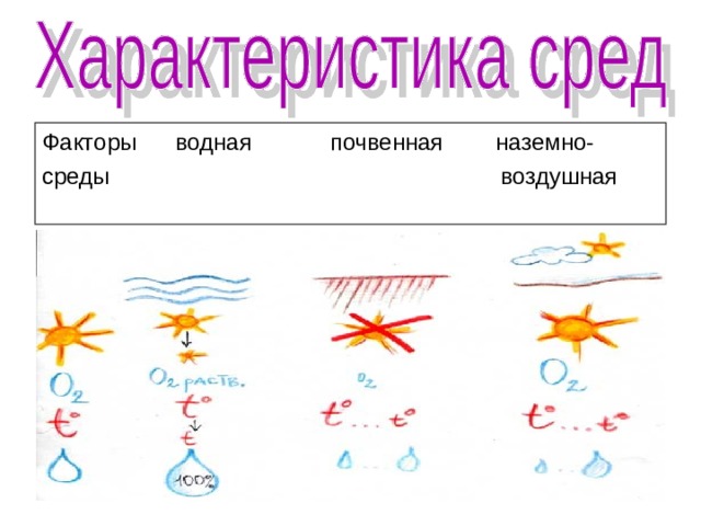Факторы водная почвенная наземно- среды воздушная  