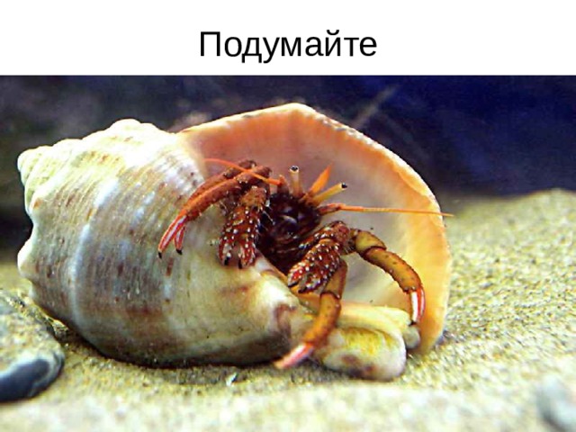 Подумайте  