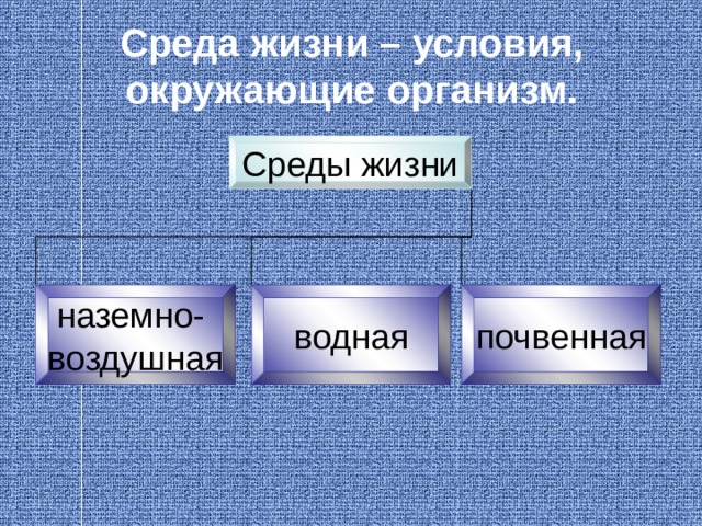 Среда жизни – условия, окружающие организм. Среды жизни наземно- воздушная водная почвенная  