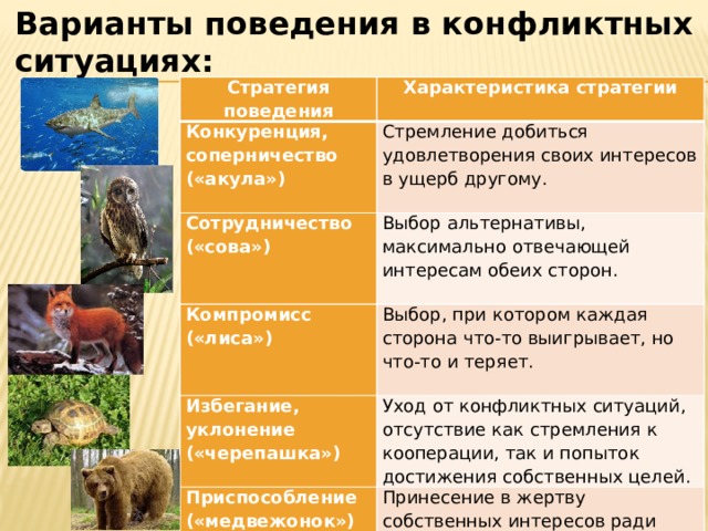 Варианты поведения в конфликтных ситуациях: Стратегия поведения Характеристика стратегии Конкуренция, соперничество («акула») Стремление добиться удовлетворения своих интересов в ущерб другому. Сотрудничество («сова») Выбор альтернативы, максимально отвечающей интересам обеих сторон. Компромисс («лиса») Избегание, уклонение («черепашка») Выбор, при котором каждая сторона что-то выигрывает, но что-то и теряет.   Уход от конфликтных ситуаций, отсутствие как стремления к кооперации, так и попыток достижения собственных целей. Приспособление («медвежонок»)  Принесение в жертву собственных интересов ради интересов другого.  
