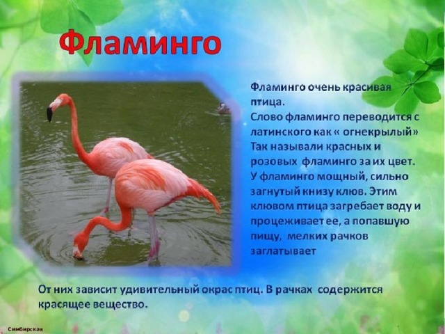  Симбирская М.А. 