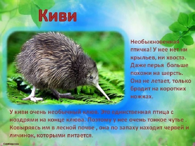  Симбирская М.А. 