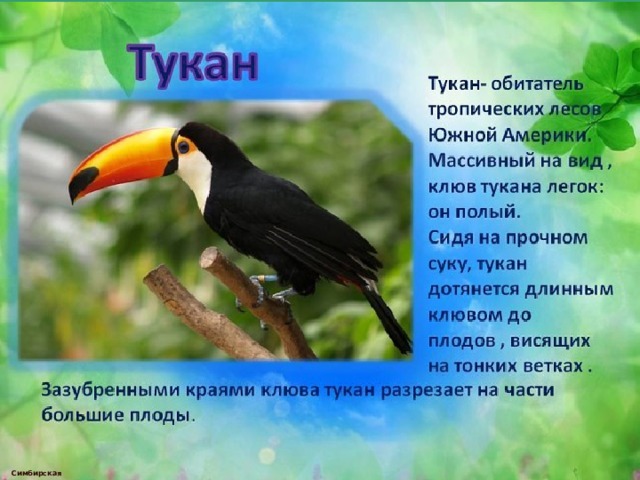  Симбирская М.А. 