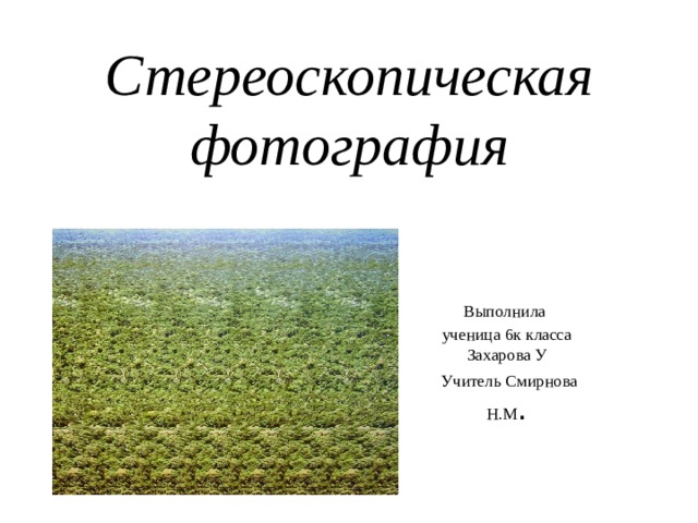 Стереоскопическая фотография Выполнила ученица 6к класса Захарова У  Учитель Смирнова Н.М . 