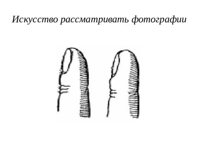 Искусство рассматривать фотографии 