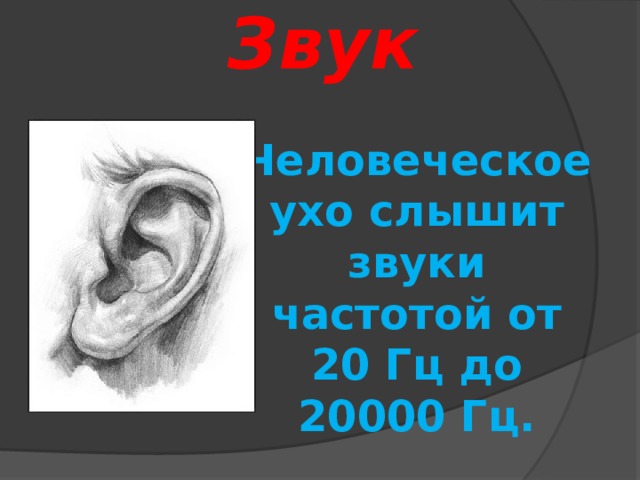 Звук Человеческое ухо слышит звуки частотой от 20 Гц до 20000 Гц. 