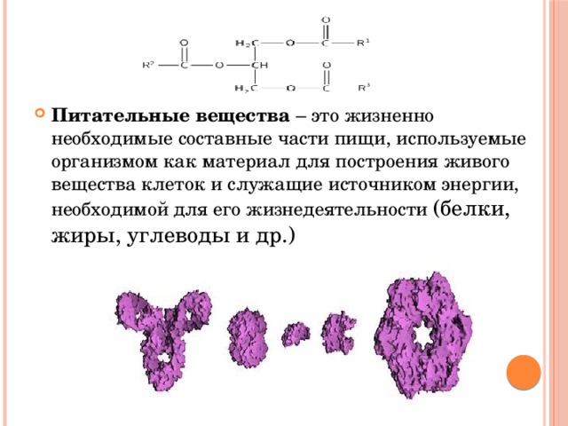 Питательные вещества – это жизненно необходимые составные части пищи, используемые организмом как материал для построения живого вещества клеток и служащие источником энергии, необходимой для его жизнедеятельности (белки, жиры, углеводы и др.) 