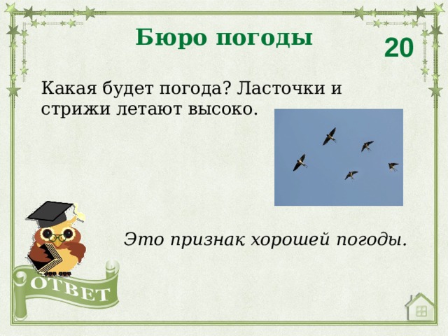 Бюро погоды 20 Какая будет погода? Ласточки и стрижи летают высоко. Это признак хорошей погоды. 