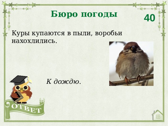 Бюро погоды 40 Куры купаются в пыли, воробьи нахохлились. К дождю. 