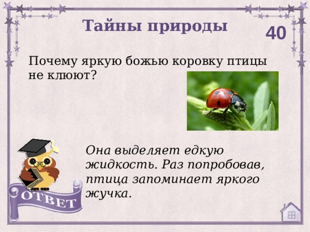 Тайны природы 40 Почему яркую божью коровку птицы не клюют? Она выделяет едкую жидкость. Раз попробовав, птица запоминает яркого жучка. 