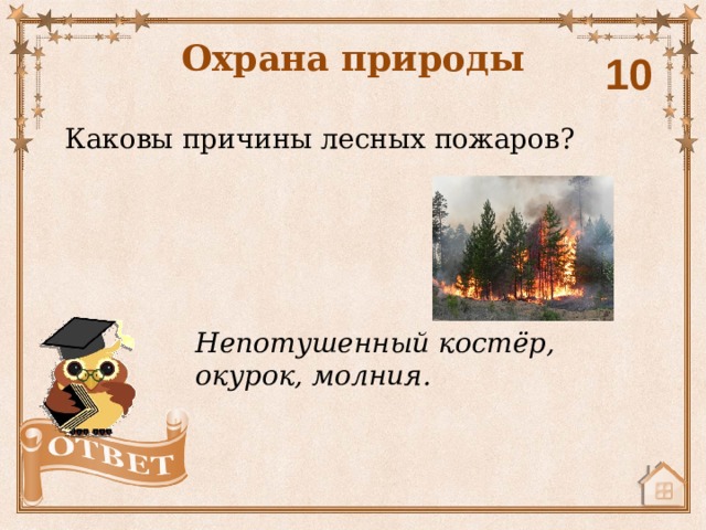 Охрана природы 10 Каковы причины лесных пожаров? Непотушенный костёр, окурок, молния. 