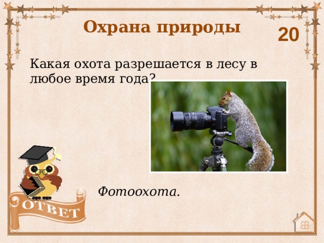 Охрана природы 20 Какая охота разрешается в лесу в любое время года? Фотоохота. 
